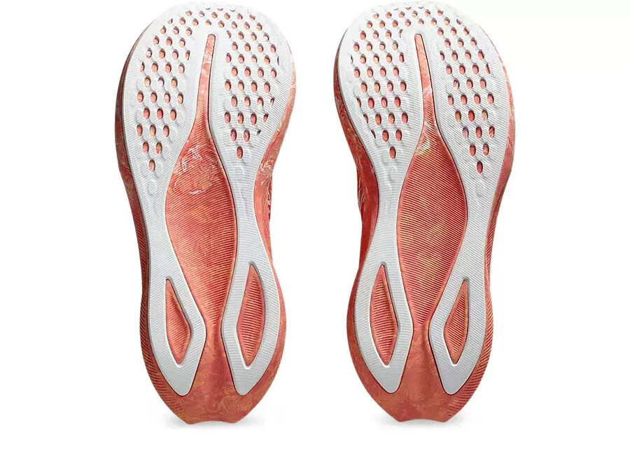 noosa tri 16