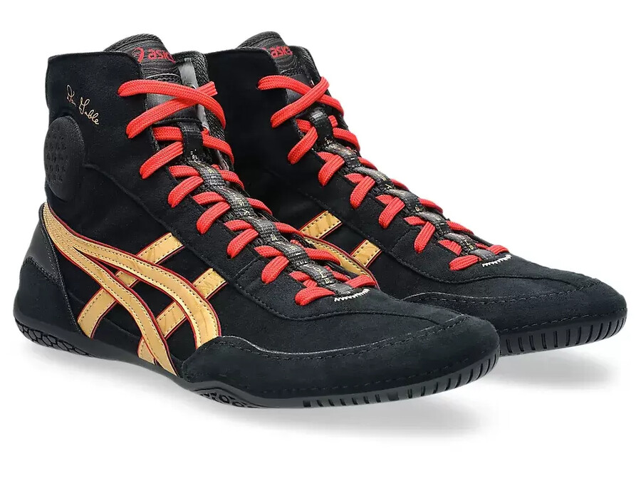 dan gable evo 3