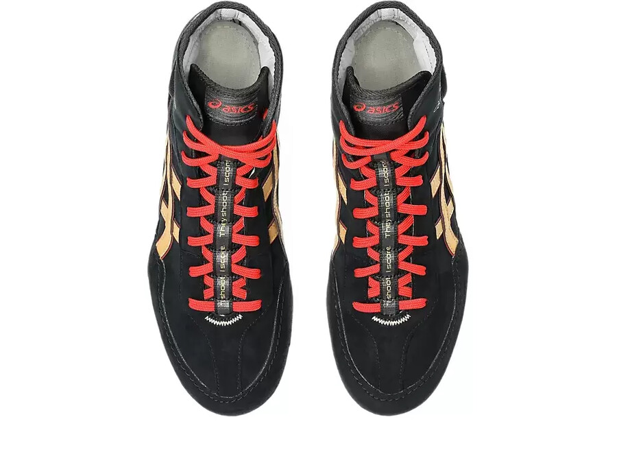 dan gable evo 3
