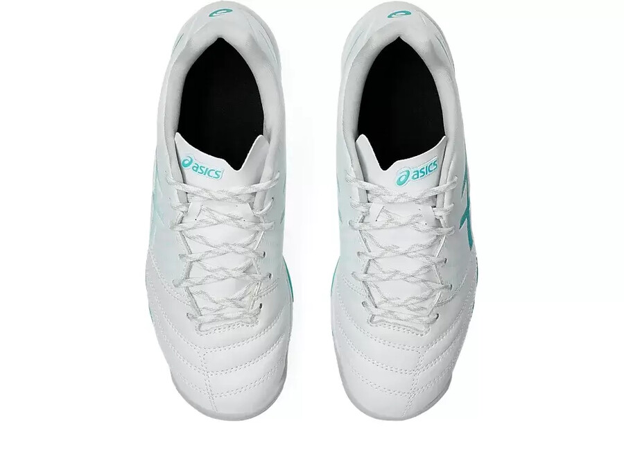 ds light jr grade school tf